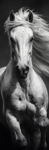 Klebeposter Pferd